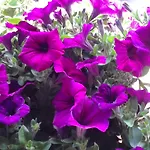 Hotel Antico Moderno